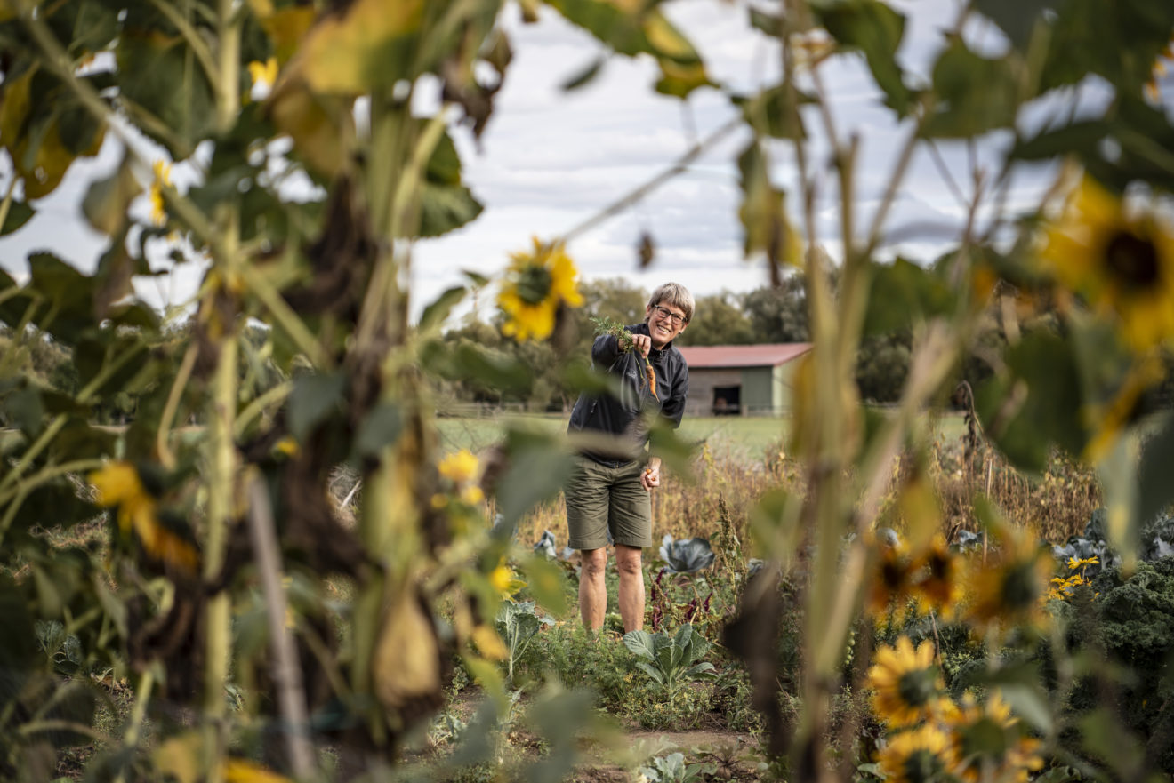 Suburban Gardening