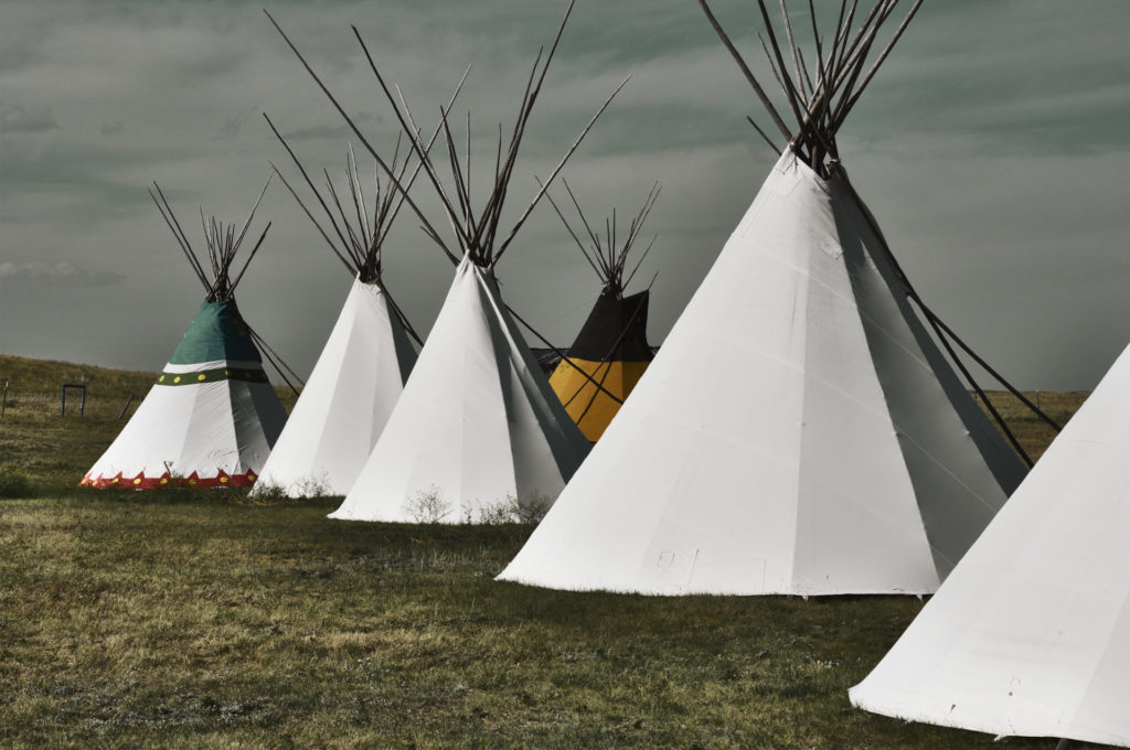 Habitat, Tipi